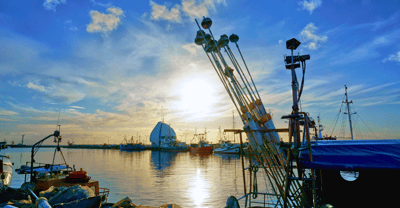 Port of Cork: Investment a big boost for offshore wind