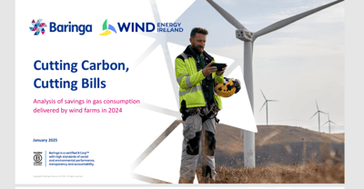 CEO Noel Cunniffe discusses findings of new Baringa report on RTE's Morning Ireland