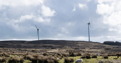 Five wind projects win in renewable auction but disappointment at size