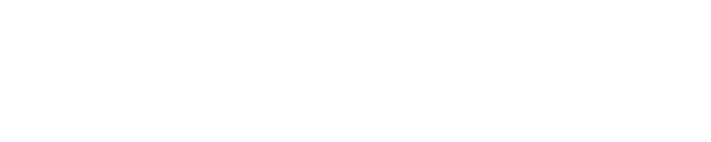 Wind Energy Ireland Logo white Small